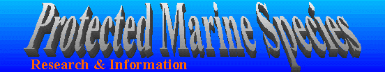 Protected Marine Species Research and Information